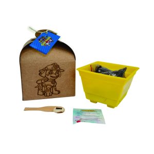 6 Kit Cultivo Infantil Personalizado