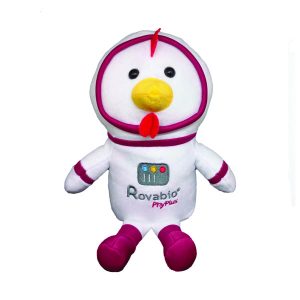 Pelúcia Galinha Personalizada