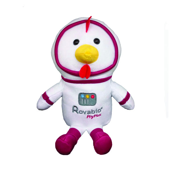 Pelúcia Galinha Personalizada